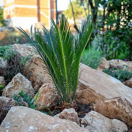 Onyx Premantura